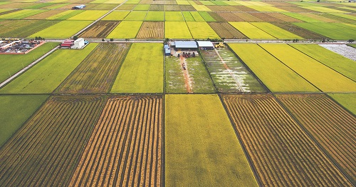 1660196341535993.png image.png