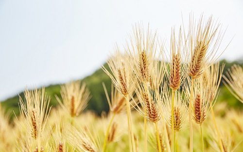 1661310119688054.png image.png