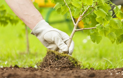 1663641473170338.png image.png