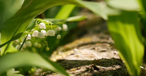 1668576924148208.png image.png