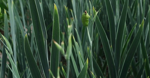 1669088495324433.png image.png