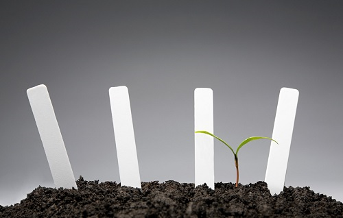 1671174940197650.png image.png