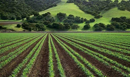 1671517844137471.png image.png