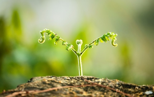 1672035279146257.png image.png