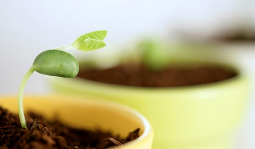 1673419139125501.png image.png