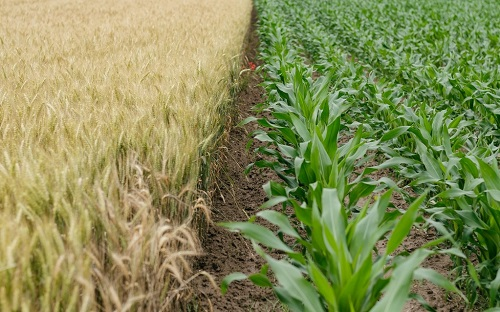 1673935149125840.png image.png