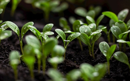 1675143033181443.png image.png