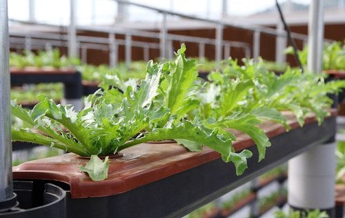 1675912743815318.png image.png