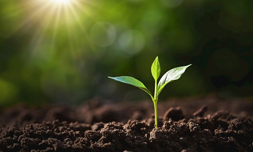 1675998156805324.png image.png