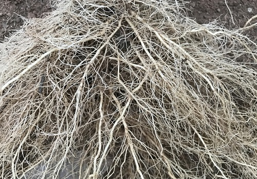 1676352228502012.png image.png