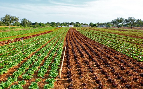 1676532364161888.png image.png