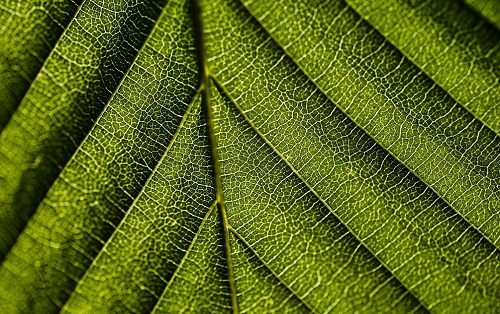 1676956010126782.png image.png