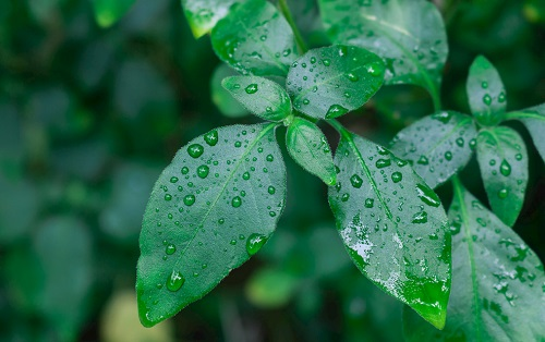 1677209485812747.png image.png