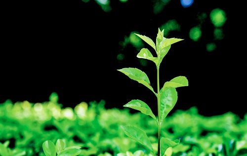 1677727085144898.png image.png