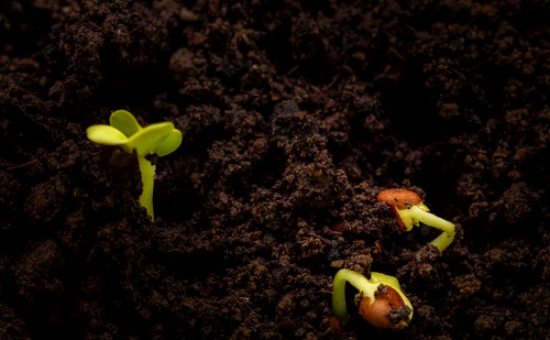 1678070858696661.png image.png