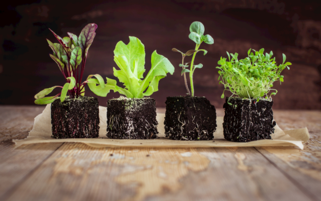 如何判斷土壤的好壞？土壤養(yǎng)分測(cè)量?jī)x能否提供制定施肥方案？