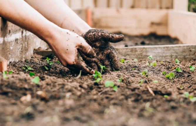 土壤墑情監(jiān)測(cè)系統(tǒng)與普通儀器對(duì)比有何優(yōu)勢(shì)？(土壤墑情監(jiān)測(cè)系統(tǒng)的作用)