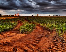 土壤農(nóng)殘量用農(nóng)藥殘留檢測設備檢測